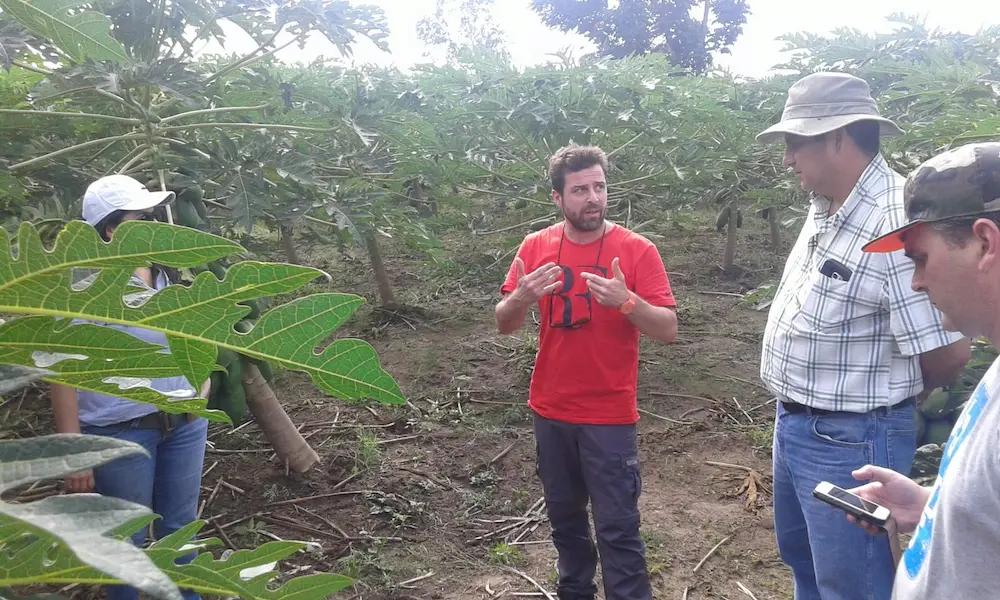 Asistencia Técnica subtropicales Honduras